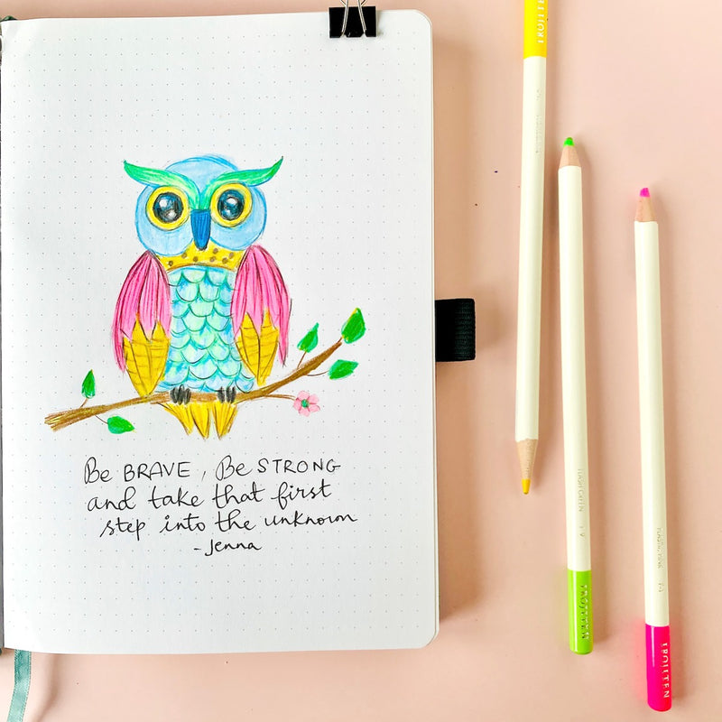 Colorful Owl Illustration Tutorial Using Irojiten Colored Pencils