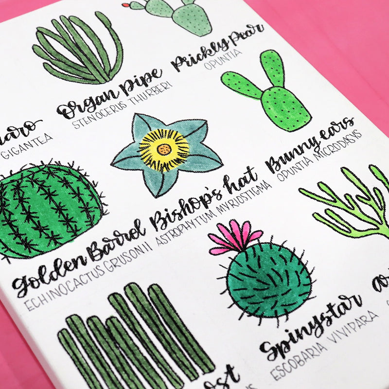 Hand-Drawn Cactus Canvas