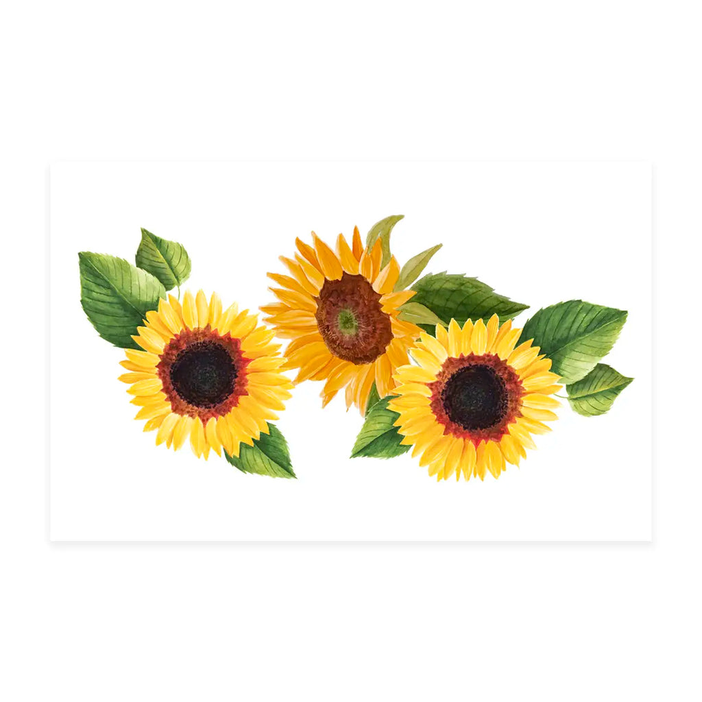 Sunflower Coloring Page