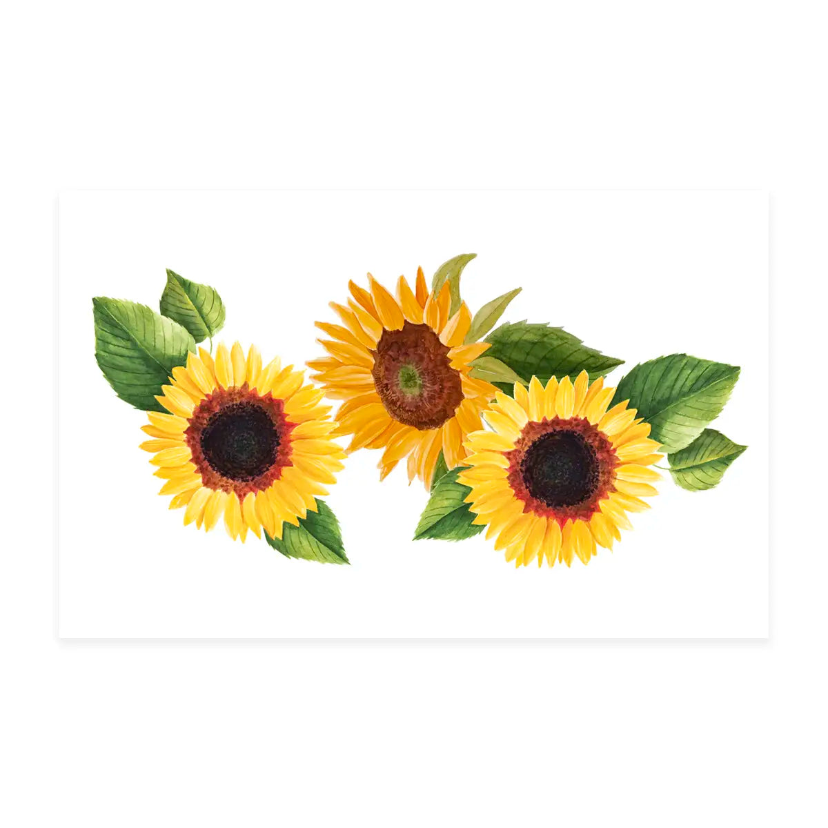 Sunflower Coloring Page