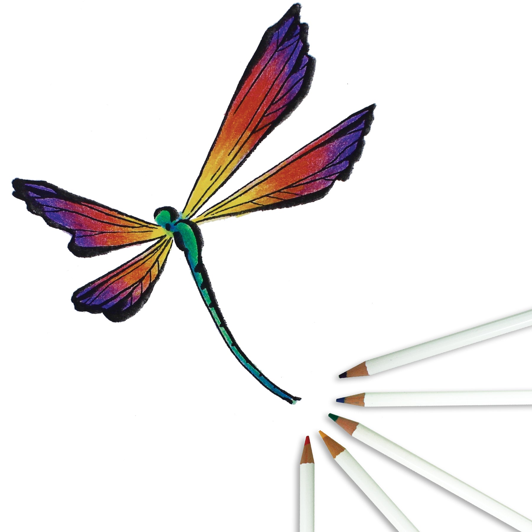 Irojiten Colored Pencils Dictionary, Rainforest