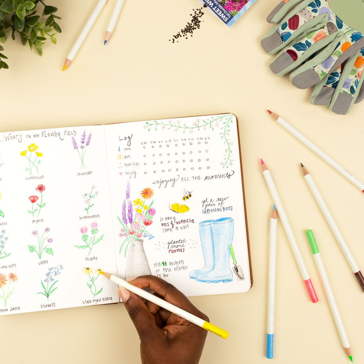 Irojiten Colored Pencil Set, Vivid