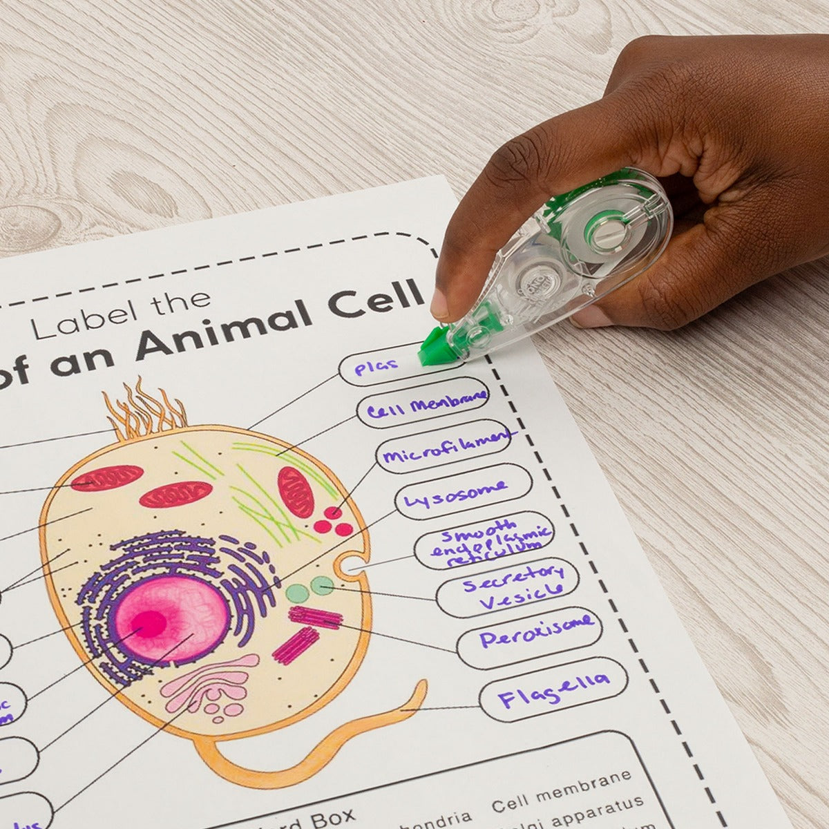 MONO Correction Tape, Mini, 10- Pack